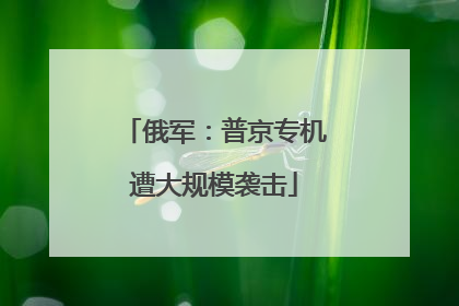 俄军：普京专机遭大规模袭击