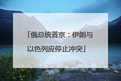 俄总统普京：伊朗与以色列应停止冲突