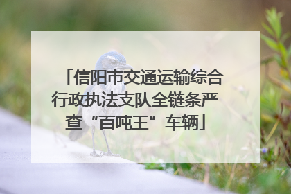 信阳市交通运输综合行政执法支队全链条严查“百吨王”车辆