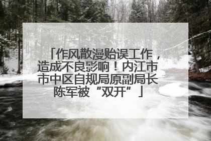 作风散漫贻误工作，造成不良影响！内江市市中区自规局原副局长陈军被“双开”