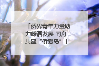 侨界青年力量助力嵊泗发展 同舟共建“侨爱岛”