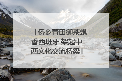 侨乡青田御茶飘香西班牙 架起中西文化交流桥梁