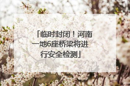 临时封闭！河南一地6座桥梁将进行安全检测