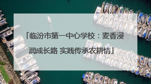 临汾市第一中心学校：麦香浸润成长路 实践传承农耕情
