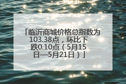 临沂商城价格总指数为103.38点，环比下跌0.10点（5月15日—5月21日）