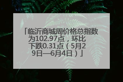 临沂商城周价格总指数为102.97点，环比下跌0.31点（5月29日—6月4日）