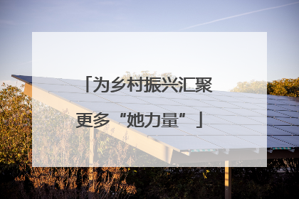 为乡村振兴汇聚更多“她力量”
