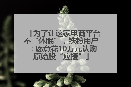 为了让这家电商平台不“休眠”，铁粉用户：愿意花10万元认购原始股“应援”
