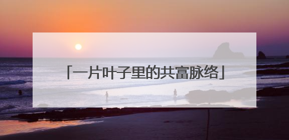 一片叶子里的共富脉络