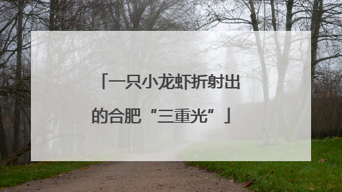 一只小龙虾折射出的合肥“三重光”