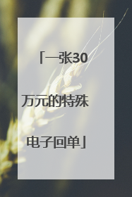 一张30万元的特殊电子回单
