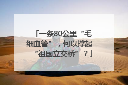 一条80公里“毛细血管”，何以撑起“祖国立交桥”？