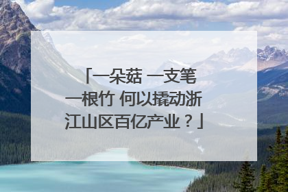 一朵菇 一支笔 一根竹 何以撬动浙江山区百亿产业？