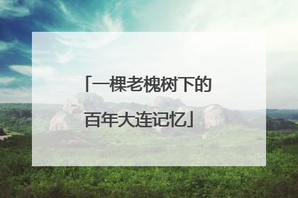 一棵老槐树下的百年大连记忆