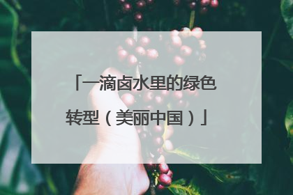 一滴卤水里的绿色转型（美丽中国）