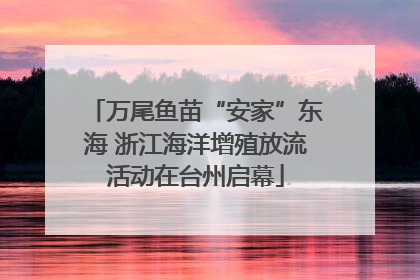 万尾鱼苗“安家”东海 浙江海洋增殖放流活动在台州启幕