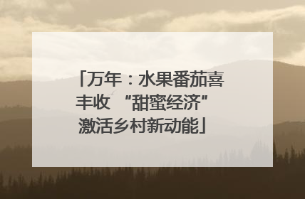 万年：水果番茄喜丰收 “甜蜜经济”激活乡村新动能