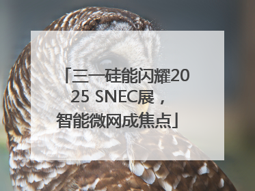 三一硅能闪耀2025 SNEC展，智能微网成焦点