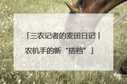 三农记者的麦田日记丨农机手的新“搭档”