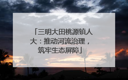 三明大田桃源镇人大：推动河流治理，筑牢生态屏障