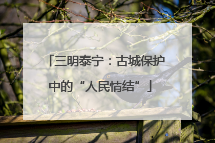 三明泰宁：古城保护中的“人民情结”