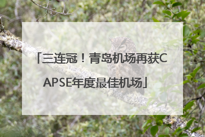 三连冠！青岛机场再获CAPSE年度最佳机场
