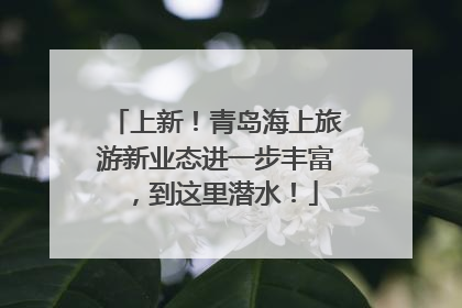 上新！青岛海上旅游新业态进一步丰富，到这里潜水！