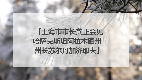 上海市市长龚正会见哈萨克斯坦阿拉木图州州长苏尔丹加济耶夫