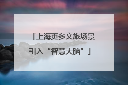 上海更多文旅场景引入“智慧大脑”