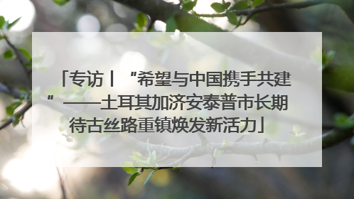 专访丨“希望与中国携手共建”——土耳其加济安泰普市长期待古丝路重镇焕发新活力