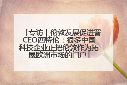 专访丨伦敦发展促进署CEO西特伦：很多中国科技企业正把伦敦作为拓展欧洲市场的门户