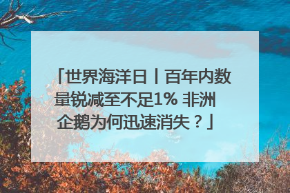世界海洋日丨百年内数量锐减至不足1% 非洲企鹅为何迅速消失？