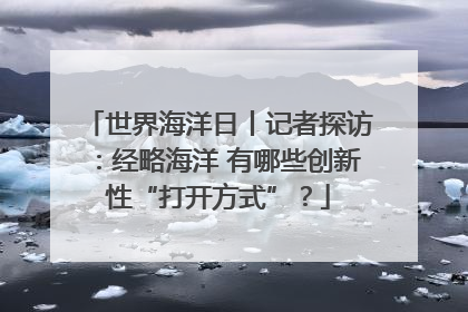 世界海洋日丨记者探访：经略海洋 有哪些创新性“打开方式”？