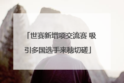 世赛新增项交流赛 吸引多国选手来穗切磋