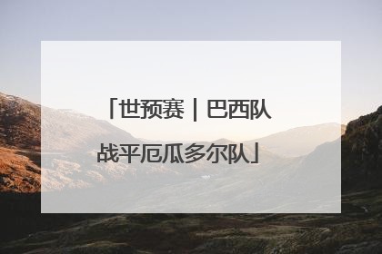 世预赛｜巴西队战平厄瓜多尔队