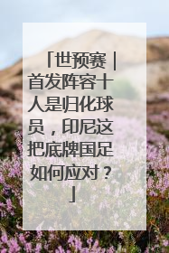 世预赛｜首发阵容十人是归化球员，印尼这把底牌国足如何应对？