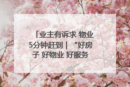 业主有诉求 物业5分钟赶到｜“好房子 好物业 好服务”系列报道④