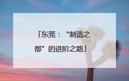 东莞：“制造之都”的进阶之路