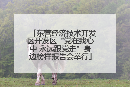 东营经济技术开发区开发区“党在我心中 永远跟党走”身边榜样报告会举行