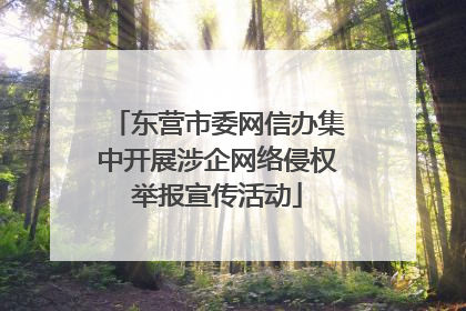 东营市委网信办集中开展涉企网络侵权举报宣传活动
