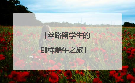 丝路留学生的别样端午之旅