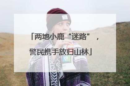 两地小鹿“迷路”，警民携手放归山林
