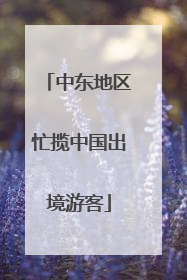 中东地区忙揽中国出境游客