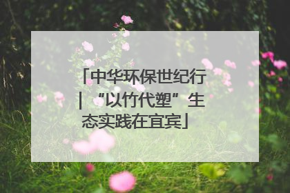 中华环保世纪行｜“以竹代塑”生态实践在宜宾