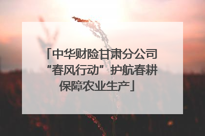 中华财险甘肃分公司“春风行动”护航春耕 保障农业生产