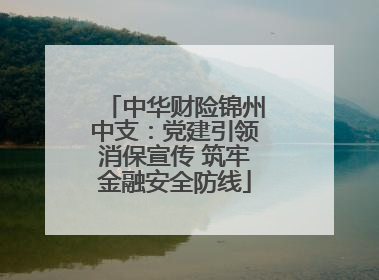 中华财险锦州中支：党建引领消保宣传 筑牢金融安全防线