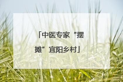 中医专家“摆摊”宜阳乡村