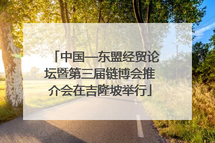 中国—东盟经贸论坛暨第三届链博会推介会在吉隆坡举行