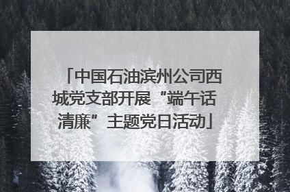 中国石油滨州公司西城党支部开展“端午话清廉”主题党日活动