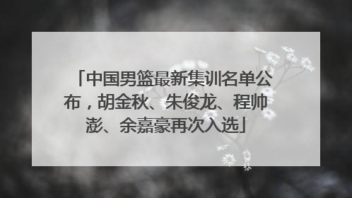 中国男篮最新集训名单公布，胡金秋、朱俊龙、程帅澎、余嘉豪再次入选